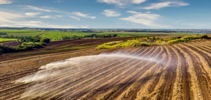Cientistas usam cinzas de bagaço de cana para recuperar nutrientes da vinhaça 