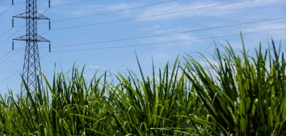 Tereos planeja chegar a 1000 clientes no mercado livre de energia nos próximos dois anos