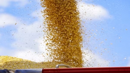 IBGE calcula safra recorde de 333,3 milhões de toneladas de grãos em 2025