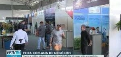Teoria e prática ajudam a aumentar produtividade da cana, soja e amendoim