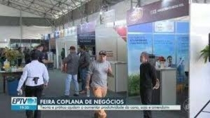 Teoria e prática ajudam a aumentar produtividade da cana, soja e amendoim
