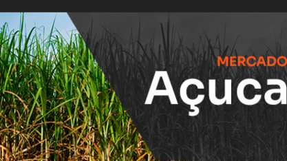 Expansão de área: o milagre que não veio