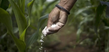 Alta nos fertilizantes fosfatados pressiona mercado e impõe desafios à safra 2025/26