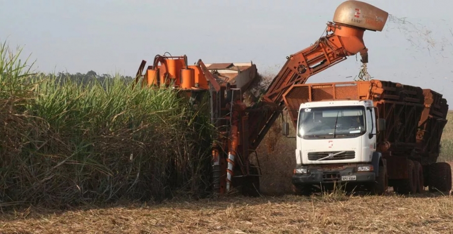 Produção nacional de etanol atingiu 36,8 bilhões de litros em 2024, tornando o Brasil o segundo maior produtor mundial, atrás apenas dos EUA (Foto: Agência Brasil )