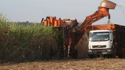 Trump mira etanol brasileiro e coloca em risco cadeia de 2,2 milhões de empregos