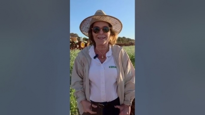 Pesquisadora do IAC destaca abrangência e sucesso do primeiro Cana Show – IAC