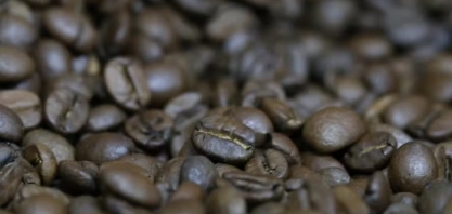 Café, cacau e algodão operam em alta na bolsa de Nova York; açúcar apresenta estabilidade