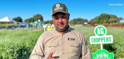 AG Croppers, com suas culturas de cobertura, chamou a atenção no Cana Show-IAC 2025
