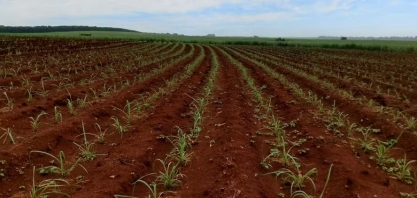 CTC elevou lucro em 37,5% e anuncia dividendos de R$ 50 milhões