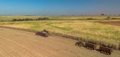 Tereos lança Relatório de Sustentabilidade 24/25 e reforça compromisso com a descarbonização e a agricultura regenerativa