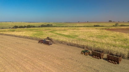 Tereos lança Relatório de Sustentabilidade 24/25 e reforça compromisso com a descarbonização e a agricultura regenerativa