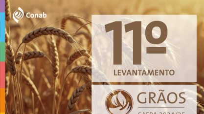 Conab: safra de grãos 2024/25 é estimada em 345,2 milhões de toneladas com recorde na produção de milho e soja