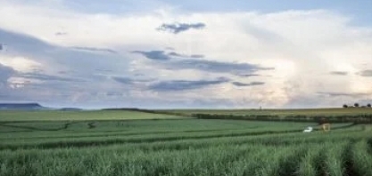 Brasil e EUA no Mercado de Açúcar e Etanol: Dados, Desafios e Oportunidades