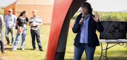 Sphenophorus levis continua sendo o terror dos produtores de cana