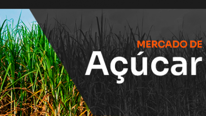 Fundamentos alertam, mas mercado ignora