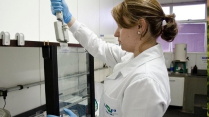 Embrapa, Apta e Pecege Firmam Aliança para Criar Corredor de Inovação Agropecuária de SP