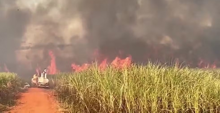 Incêndio atinge canavial em Osvaldo Cruz (SP) — Foto: Renato Campanari/TV Fronteira