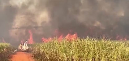 Prejuízos, recomeço e prevenção: 1 ano após onda de incêndios, como estão os produtores de cana em SP