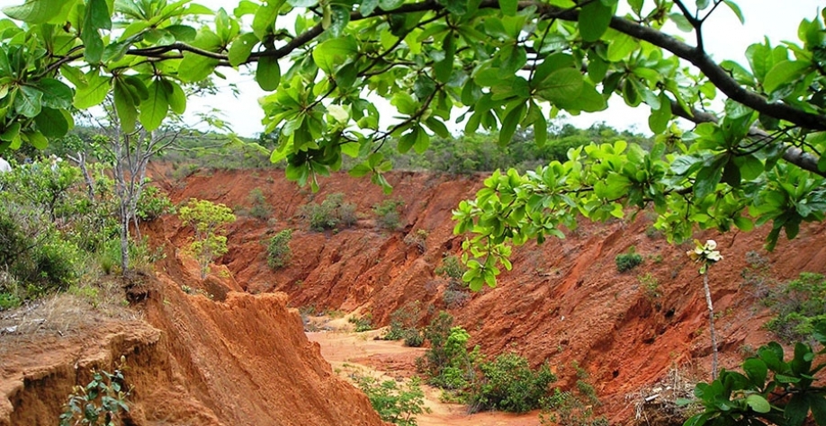 Foto: Claudio Capeche (voçoroca em área do estado do Mato Grosso)