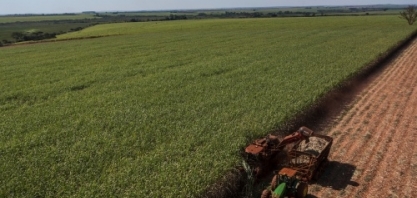 UNICA: regime de chuvas desfavorável prejudica safra no CS