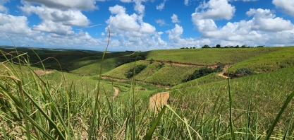 Em setembro acontece o Tour Técnico da CanaOnline pelo Nordeste Canavieiro-2025