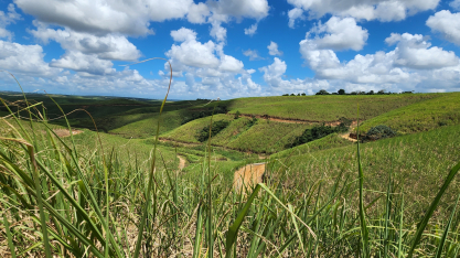 Em setembro acontece o Tour Técnico da CanaOnline pelo Nordeste Canavieiro-2025