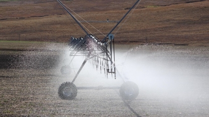 Grupo Fitotécnico IAC debate práticas agrícolas para aumentar a produtividade da cana-de-açúcar