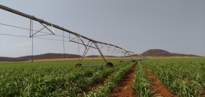 Plano paulista de irrigação amplia faixa de uso e espera dobrar área irrigada até 2030