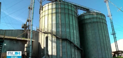 Usina flex de AL amplia produção com etanol de sorgo e milho