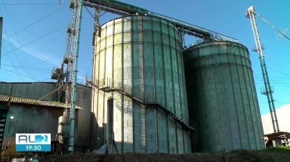 Usina flex de AL amplia produção com etanol de sorgo e milho