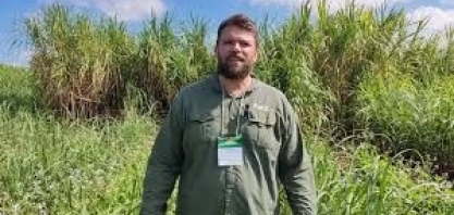 Mixes de plantas de cobertura promovem diversos benefícios para os canaviais