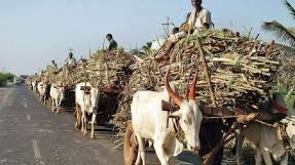 Índia segue os passos do Brasil e aposta no etanol como combustível