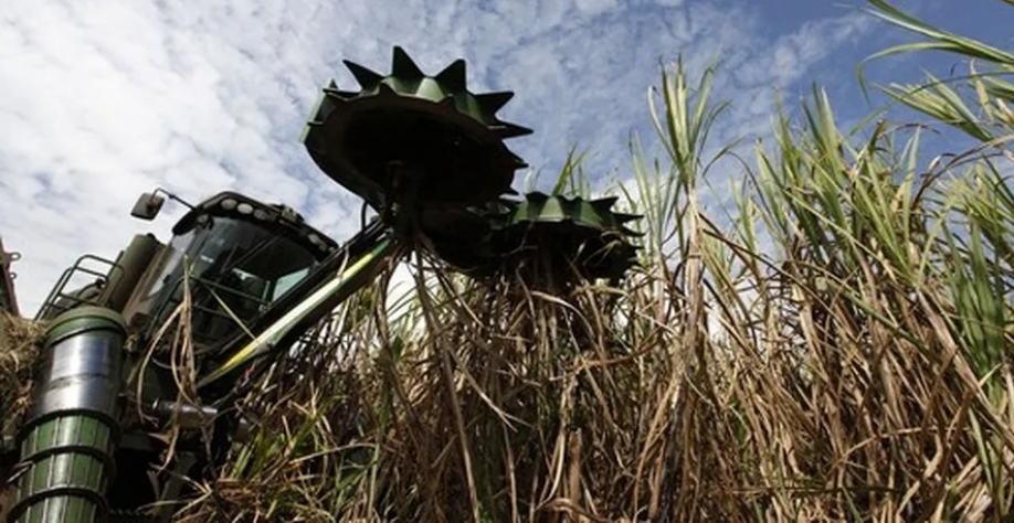 Moagem de cana mais fraca também deve impactar resultado financeiro da Raízen — Foto: Globo Rural