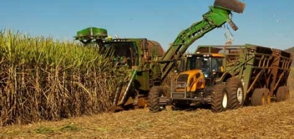 Em Pernambuco, setores produtivos avaliam estratégias para evitar perdas com tarifaço dos EUA