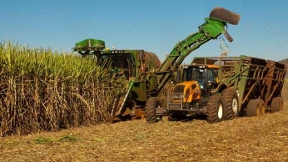 Em Pernambuco, setores produtivos avaliam estratégias para evitar perdas com tarifaço dos EUA