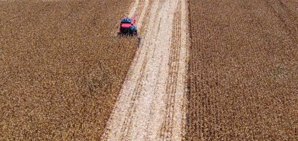 Safra ‘cheia’ e exportação impulsionaram lucro de empresas do agro no 2 trimestre