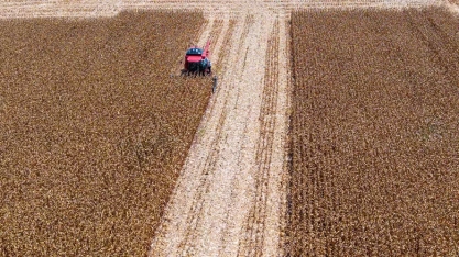 Safra ‘cheia’ e exportação impulsionaram lucro de empresas do agro no 2 trimestre