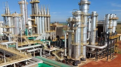 Quebra de safra de cana faz Adecoagro amargar prejuízo no 2º trimestre