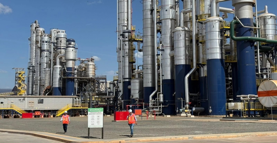 Foto: Agro Estadão