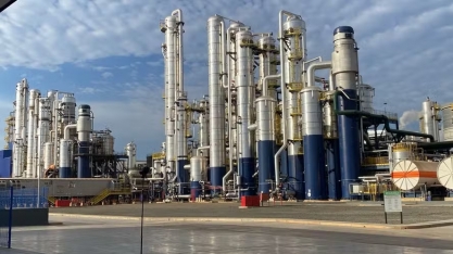 Inpasa fomenta produção de sorgo para a fabricação de etanol