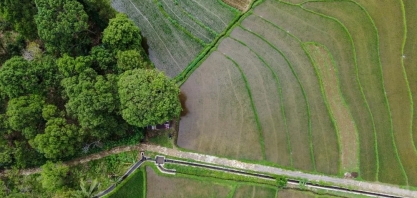 Referência nacional: CAR paulista inspira modernização do licenciamento no Brasil