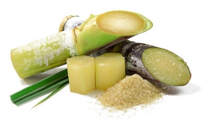 Medição precisa de concentração na produção do açúcar é tema de webinar