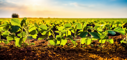 La Niña pode antecipar safra de soja 2025/26 no Brasil