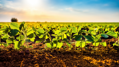 La Niña pode antecipar safra de soja 2025/26 no Brasil