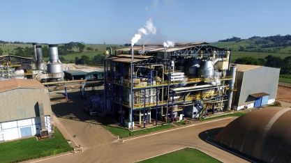 CRV Industrial supera desafios climáticos e cresce na produção de açúcar