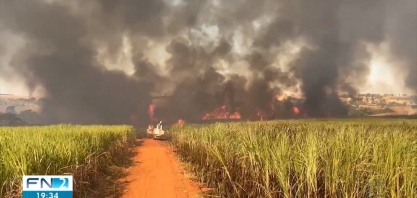Incêndio de grandes proporções atinge área de plantação de cana-de-açúcar em Osvaldo Cruz