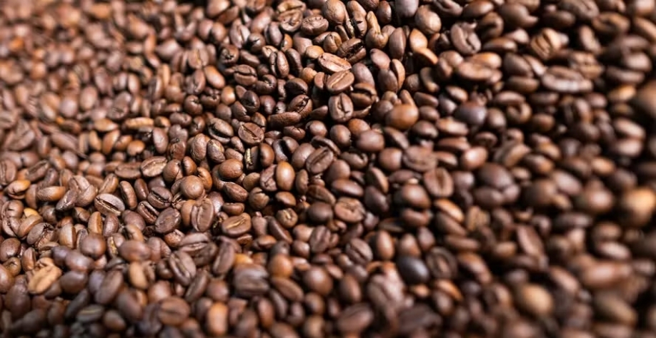 Viés é altista para o café, com as notícias de geadas nas áreas produtoras do Brasil — Foto: Wenderson Araujo/CNA