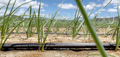 Quem são os novos irrigantes do Brasil e como o agricultor pode fazer parte dessa transformação?