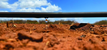 Cuidar do sistema de irrigação antes que o problema apareça pode sair até cinco vezes mais barato do que arcar com reparos corretivos