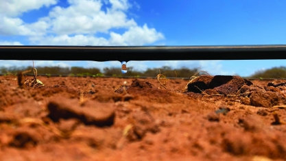 Cuidar do sistema de irrigação antes que o problema apareça pode sair até cinco vezes mais barato do que arcar com reparos corretivos